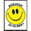 Poster Pals French Essential Classroom Posters Set II PS57
